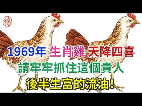 1969 雞 五行|1969年出生是什麼命？